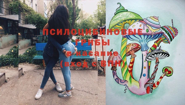 apvp Кулебаки