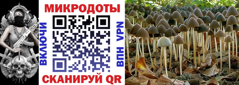 Галлюциногенные грибы мицелий  Купить где  Арсеньев 